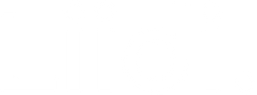 Liidi
